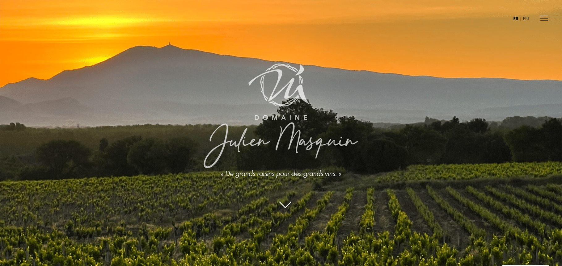 Site web domaine masquin